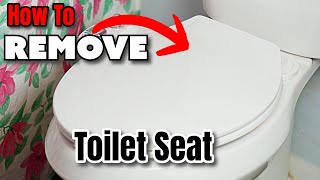 How To Remove Toilet Seat Easy Simple