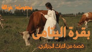 بقرة اليتامى قصة رائعة من التراث الجزائري  بصوت: غزالة