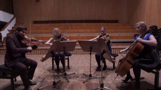 Adele - Skyfall string quartet cover