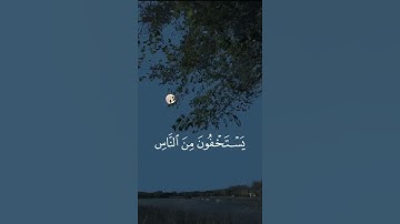 ﴿ يستخفون من الناس ولا يستخفون من الله ﴾ | سورة النساء | ياسر الدوسري #قرآن #النساء #قرآن #quran