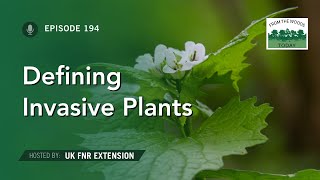 Defining Invasive Plants - From the Woods Today - Episode 194