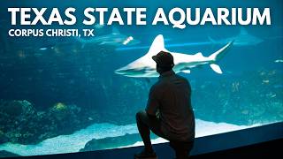 Chet Becomes A Dolphin Trainer at the Texas State Aquarium