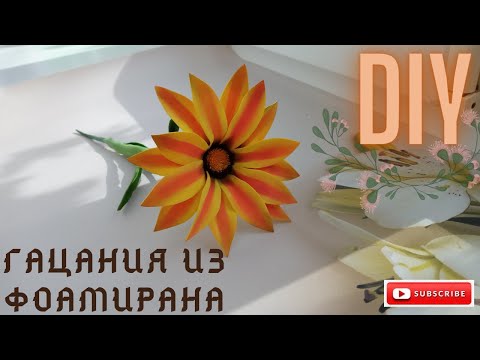 वीडियो: गत्सानिया - धूप फूल