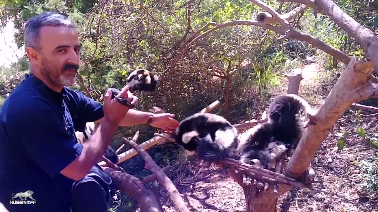 Madagascar. Lemurs Park.