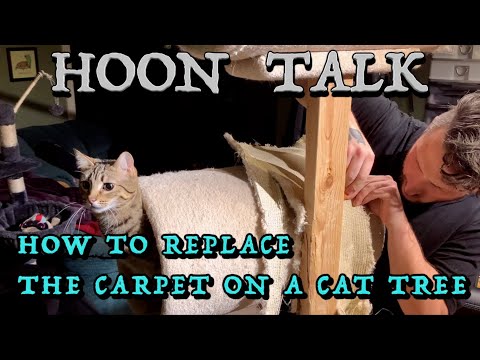 Video: Come Re-Carpet Your Cat Tower