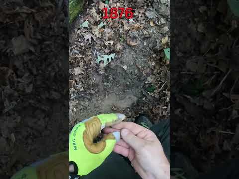 I Found a