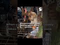 I am angry 😡 someone take me seriously 😳 #comedy #funnyfeed #animallover #animalcomedy #shorts#yt