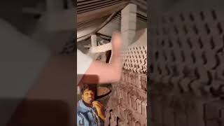 Download Lagu scorpion farming in china | most amazing facts about scorpions #scorpion #shorts MP3