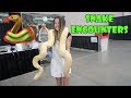 Snake Encounters 🐍 (WK 344.3) | Bratayley