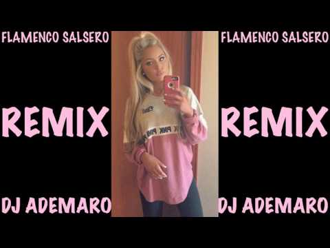 FLAMENCO SALSERO 2017