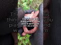 Reddit Satisfying Cnc Fyp Reddit Satisfying Cnc Fyp