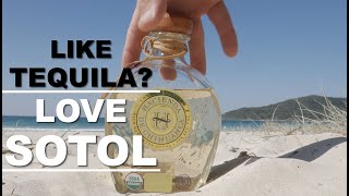 Like Tequila? Love Sotol