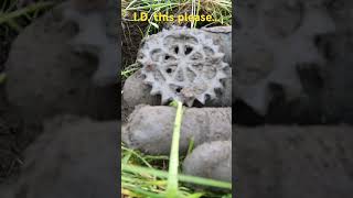 Unidentified find metal detecting Yorkshire. Decorative item maybe. Minelab Vanquish 460 detector