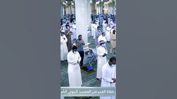 تلاوة مباركة للشيخ: علي الحذيفي حفظه الله ، من سورة يس.
