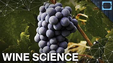 The Science Behind Wine