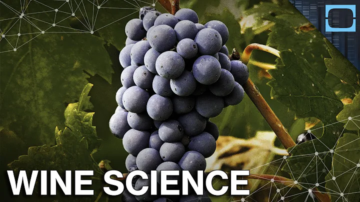 The Science Behind Wine - DayDayNews