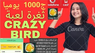 استراتيجية وثغرات لعبة crazy Bird ربح 1000ج فودافون كاش مجاني//الربح من الالعاب  فودافون كاش 2024 screenshot 2