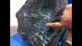 Dabed Blade For Brush Cutter