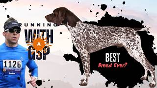 Best Dog Breeds For Running 2024
