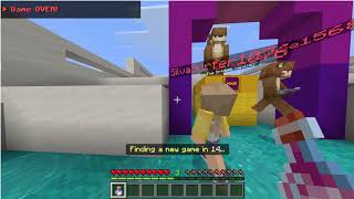Details Bridges In MInecraft Server Guide