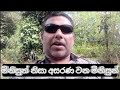 "Unexpected Challenges: Special Needs Travelers Share Their Mihirigama Railway Station Struggles!"