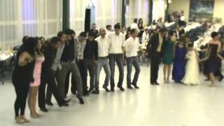 [  Koma Roj  ]  Daweta Kurdi & Kurdish Wedding & Kurdische Hochzeit & Roj Müzik