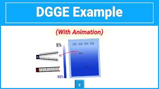 Denaturing Gradient Gel Electrophoresis In Action Example