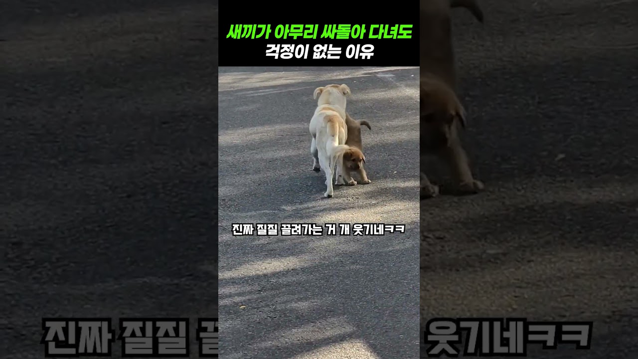 너 이노무새키 당장 일로 와