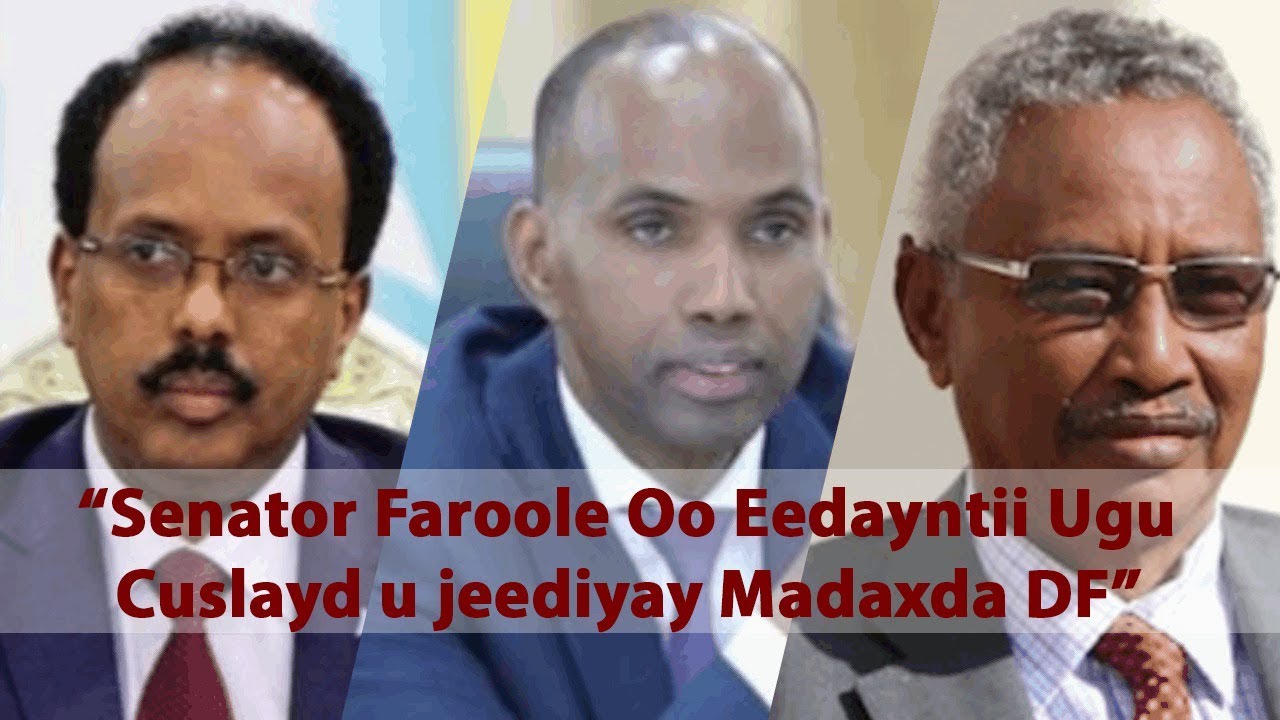 Senator Faroole oo Eedayntii Ugu Cuslayd u jeediyay Madaxda federaalka!