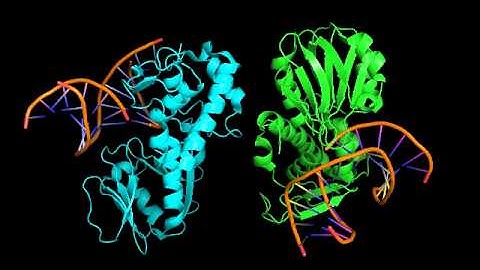 Kingston University PhD student Reyhaneh