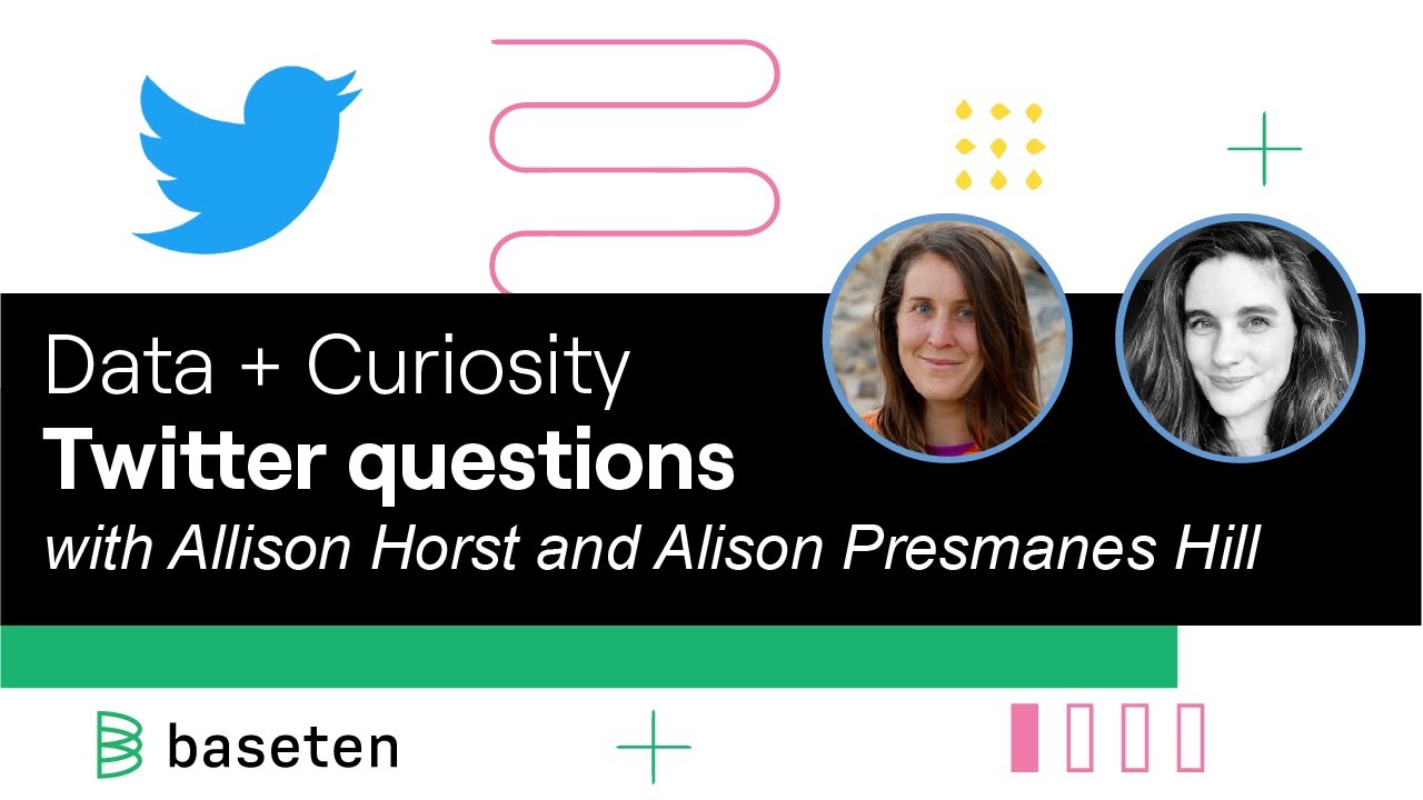 Twitter asked, Alison and Allison Answered - Palmer Penguins Data + Curiosity Community Questions