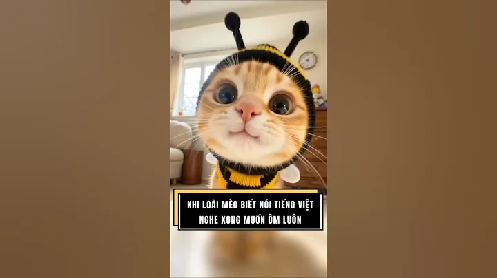 KHI MÈO BIẾT NÓI TIẾNG VIỆT p2 #shorts #cat