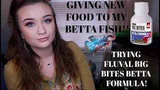 bug bites betta formula