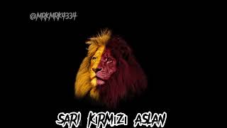 Aslan Cimbom