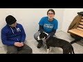 DOG ADOPTED! KC Pet Project’s Jolene