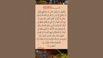 القرآن الكريم سورة الفجر سعد الغامدي #القرآن_الكريم #راحة_نفسية #اطمئن