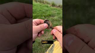 Jarní lov na method feeder v podání Mikado teamu!