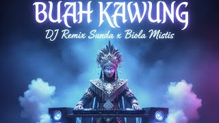 DJ REMIX x violin BUAH KAWUNG FULL BASS ANGKER 🔥