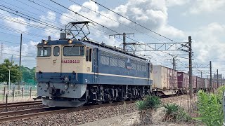 EF65-2081＋コキ20B［5087レ］ 2023/9/18📷