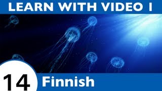 Learn Finnish with Video - Have a Whale of a Time with FinnishPod101.com!!