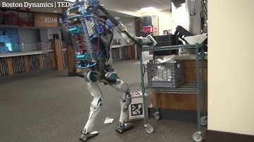 Hapless Boston Dynamics robot in shelf stacking fail | officiAL