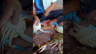 Crab Cutting Skills Seafood