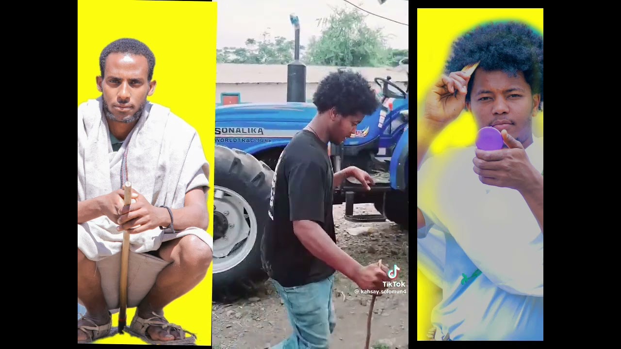 ካብ tik tok ትወሰድ