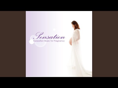 Tonton Life (Relaxation Music) di YouTube