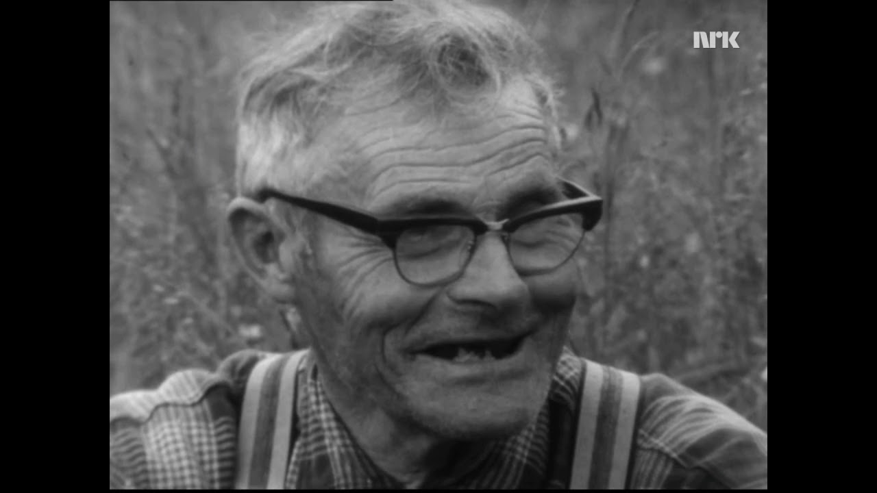 Troms-dialekt frå Senja - litt om gamle dagar