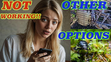 How to Clean and Preserve a Turtle Shell When ANTS DON’T WORK