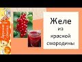 Секреты приготовления желе из красной смородины/Ура, получилось!