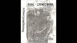 Die Chronik - Schmerzempfindung