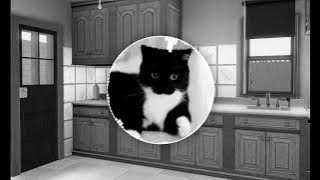 FNF: Vs. Nermal (Nermal Nermal Nermallin') - Hi (instrumental)