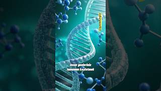 Kısaca Hgp İnsan Genom Projesi